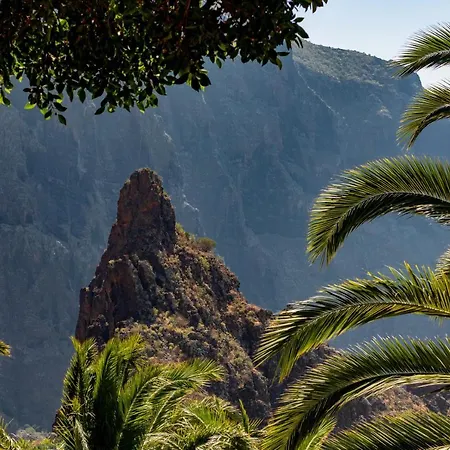 Cruz De Toledo ブエナビスタ・デル・ノルテ